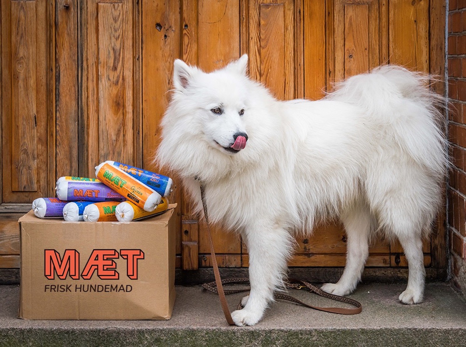 MÆT Pets Case: GTM In A Crowded Space