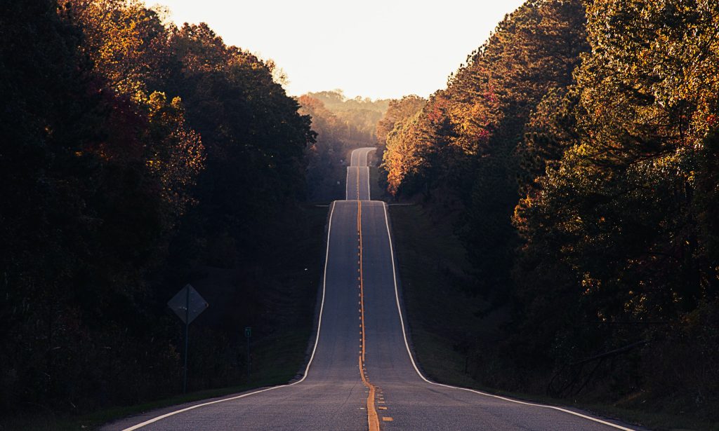A road in the fall representing a product roadmap